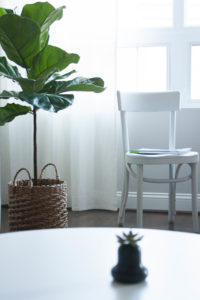 minimalist interior living room fiddle leaf fig tree rgdaily blog