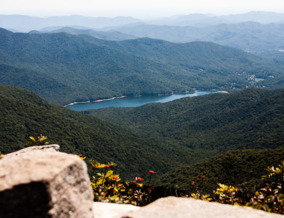 craggy gardens asheville travel journal rgdaily blog