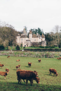 Chateau de Burnand, Burgundy France - French Countryside - RG Daily Blog